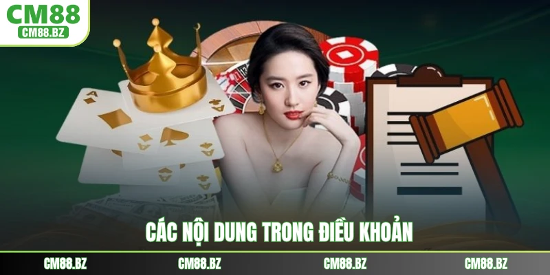 Các nội dung trong điều khoản