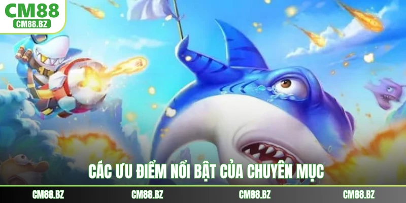 Các ưu điểm nổi bật của chuyên mục