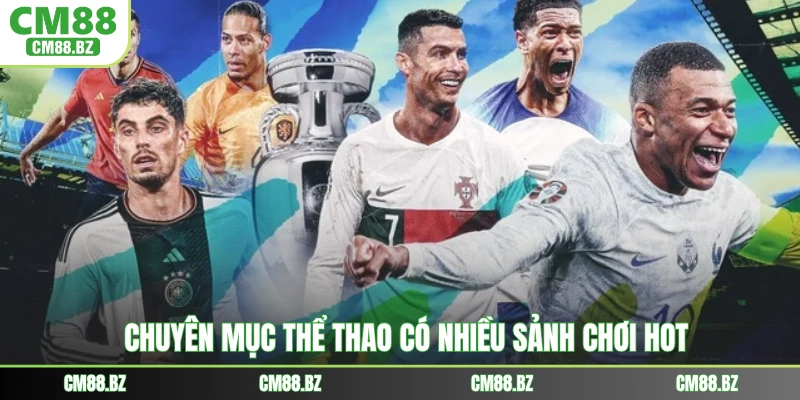 Chuyên mục thể thao có nhiều sảnh chơi hot