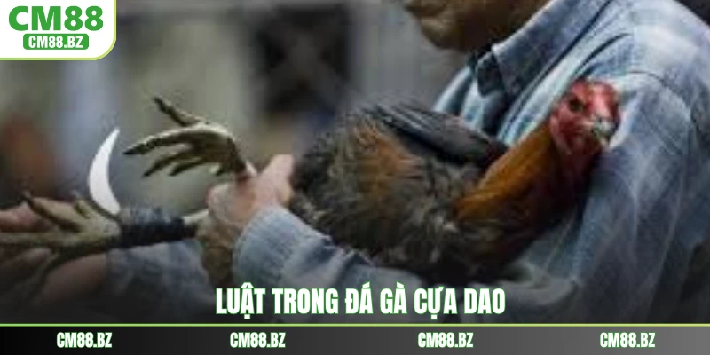 Luật trong đá gà cựa dao