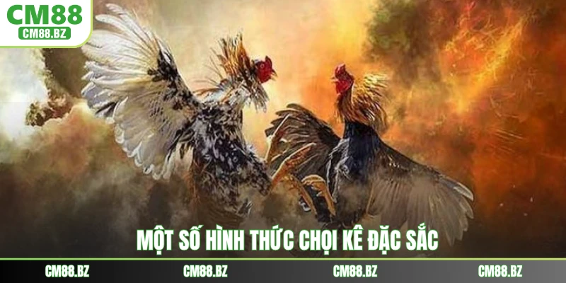 Một số hình thức chọi kê đặc sắc