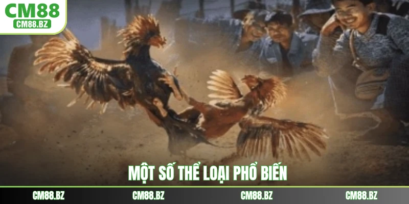 Một số thể loại phổ biến