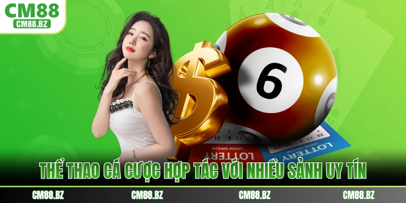 Thể thao cá cược hợp tác với nhiều sảnh uy tín