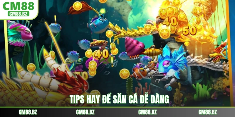 Tips hay để săn cá dễ dàng