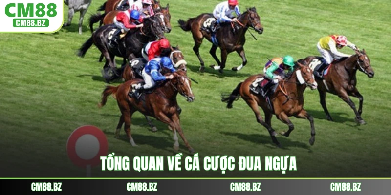 Tổng quan về cá cược đua ngựa